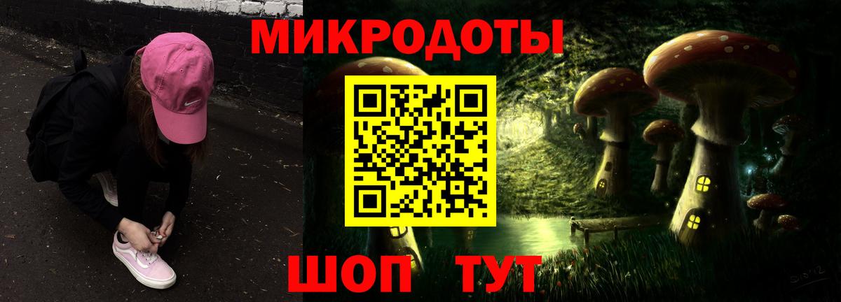 Галлюциногенные грибы Cubensis Курчалой